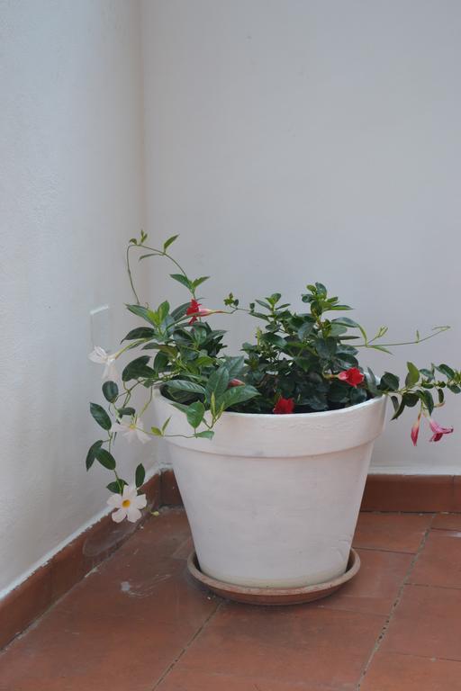 Flai Home Vico Equense Buitenkant foto